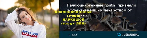 прущая мука Арсеньев