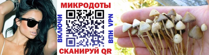 Галлюциногенные грибы мицелий  Иланский 